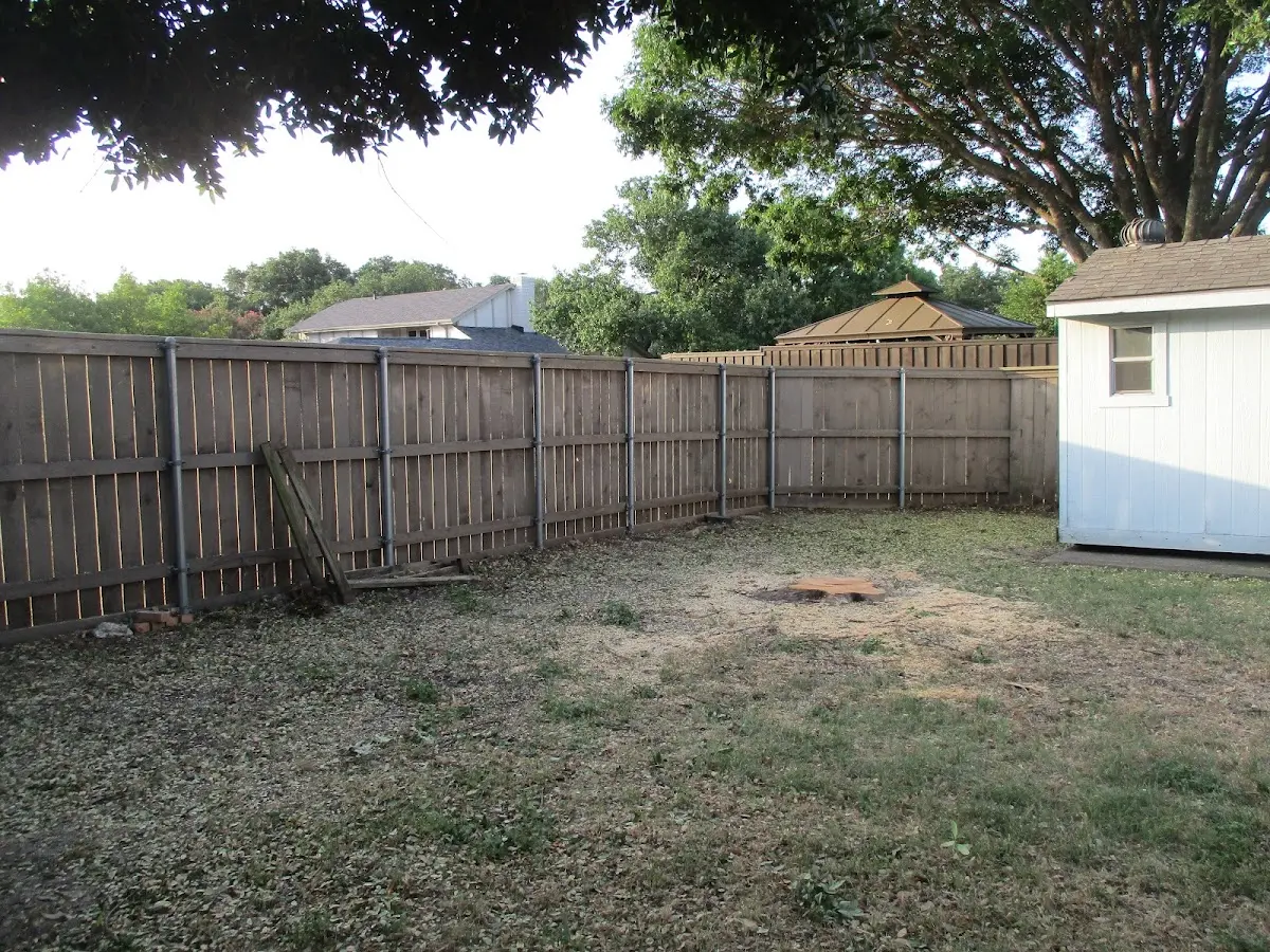 Cleared yard after professional tree removal in Stevenson